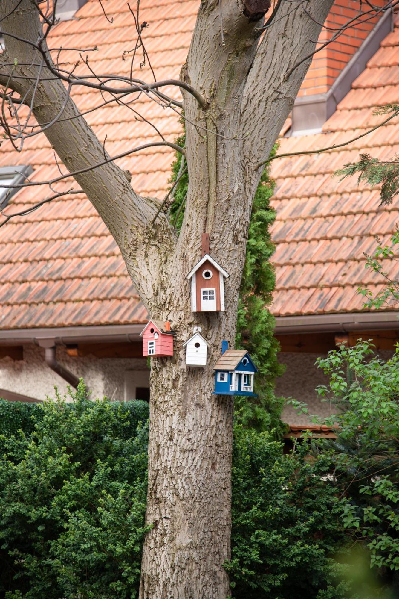 Villa Julius Sopot Exterior foto